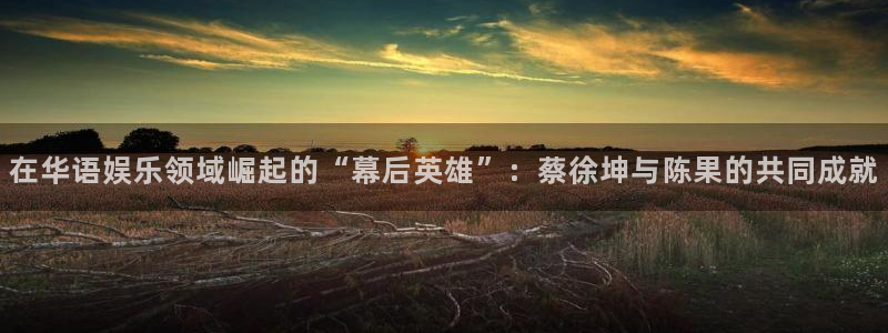 耀世娱乐登录地址：在华语娱乐领域崛起的“幕后英雄”：蔡徐坤与陈果的共同成就