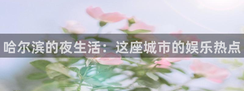 耀世娱乐官网：哈尔滨的夜生活：这座城市的娱乐热点