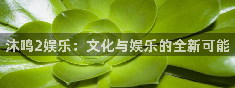 耀世娱乐官网入口：沐鸣2娱乐：文化与娱乐的全新可能
