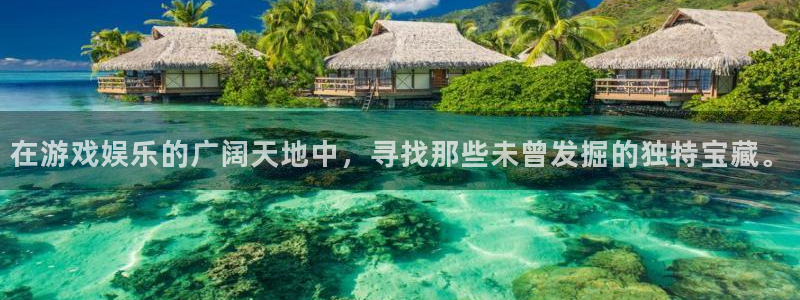 耀世娱乐：在游戏娱乐的广阔天地中，寻找那些未曾发掘的独特宝藏。