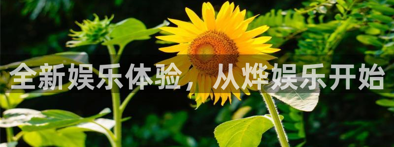 耀世娱乐登录：全新娱乐体验，从烨娱乐开始