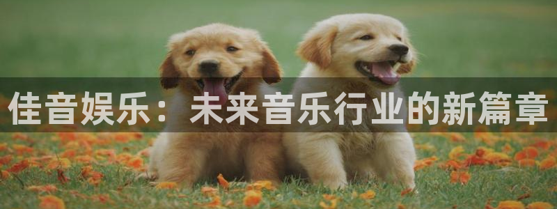 耀世娱乐：佳音娱乐：未来音乐行业的新篇章