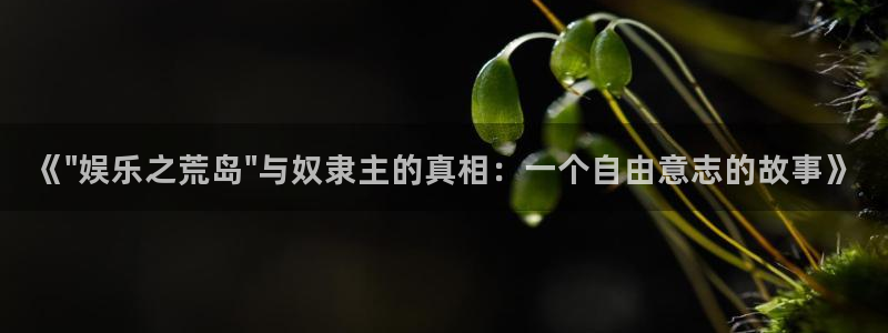 耀世娱乐入口：《\