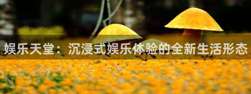 耀世娱乐登录地址：娱乐天堂：沉浸式娱乐体验的全新生活形态