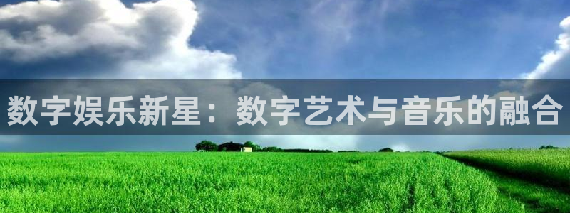 耀世娱乐注册：数字娱乐新星：数字艺术与音乐的融合